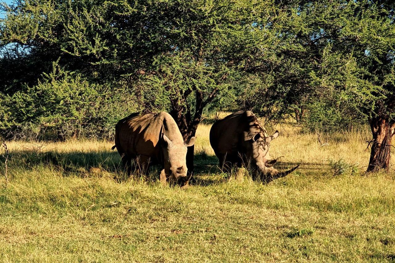 Phumelo Lodge Bela-Bela Zewnętrze zdjęcie