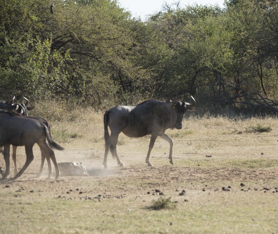 Phumelo Lodge Bela-Bela Zewnętrze zdjęcie
