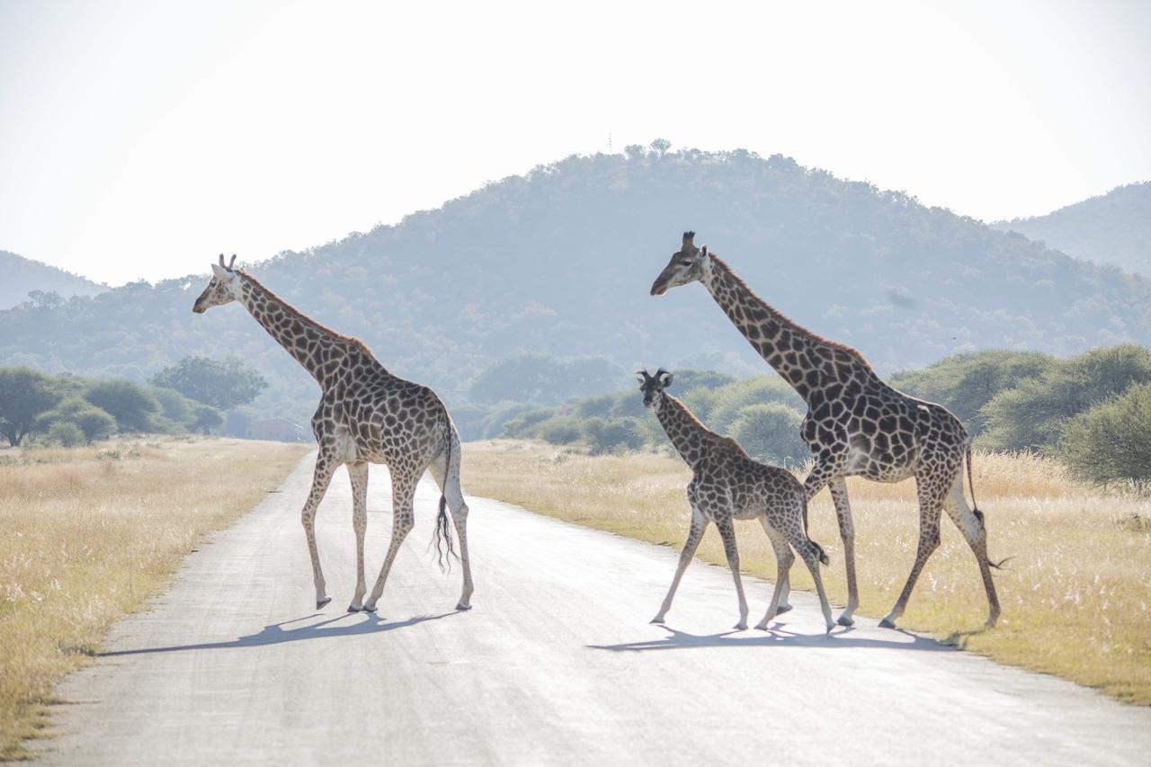 Phumelo Lodge Bela-Bela Zewnętrze zdjęcie