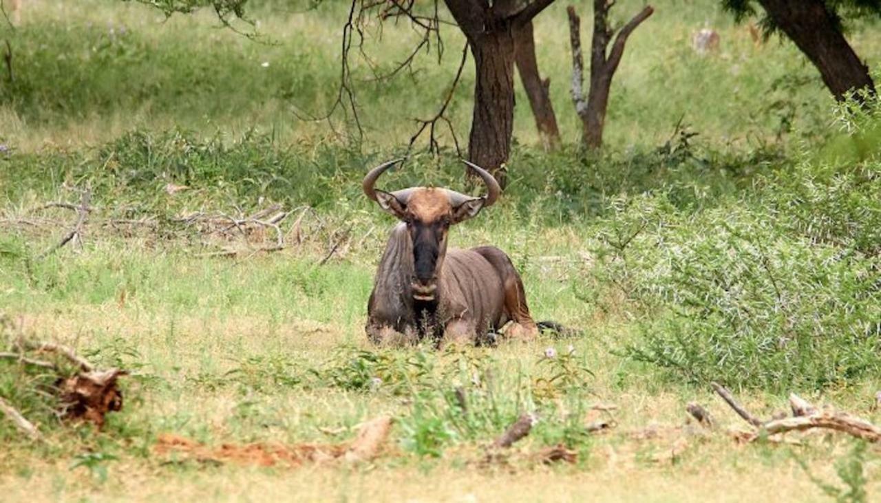 Phumelo Lodge Bela-Bela Zewnętrze zdjęcie