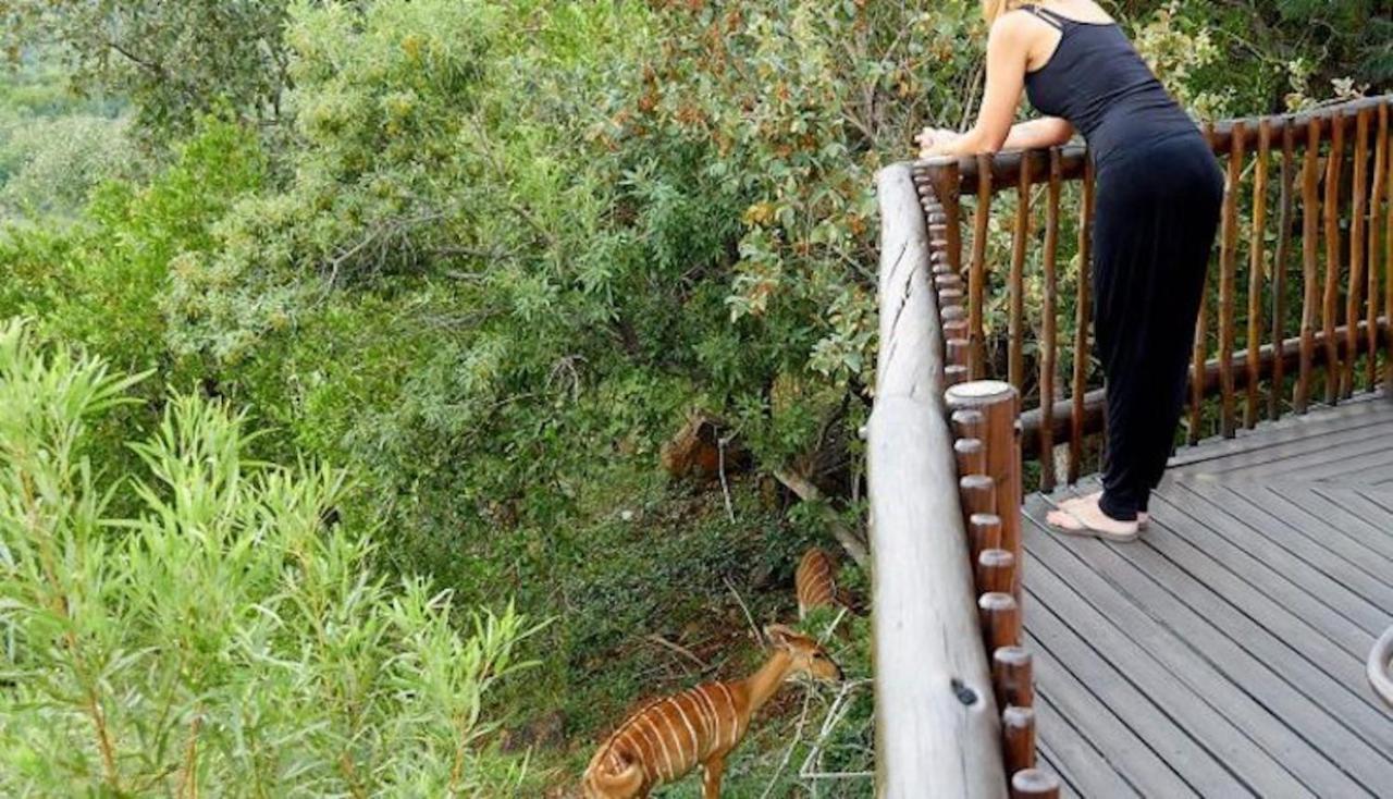Phumelo Lodge Bela-Bela Zewnętrze zdjęcie